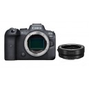 CANON EOS R6 + ADAPTADOR RF