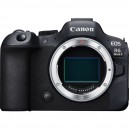 CANON EOS R6 Mark II (Solo Cuerpo)